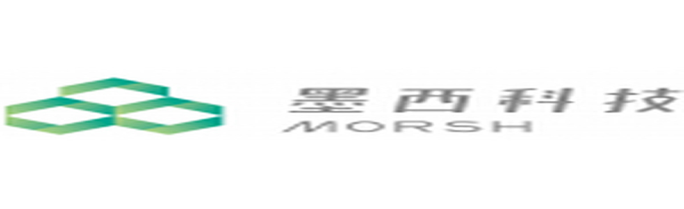 宁波墨西科技有限公司